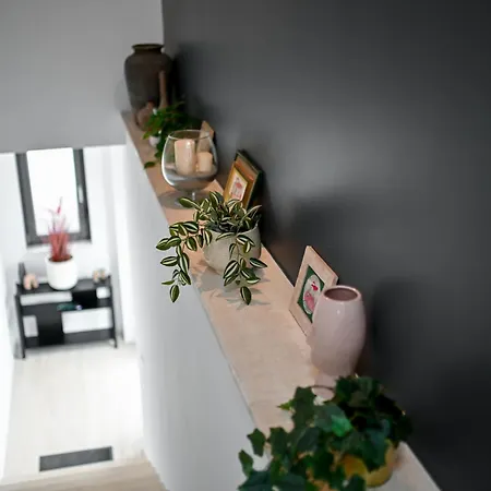 Big Sky Appartement *